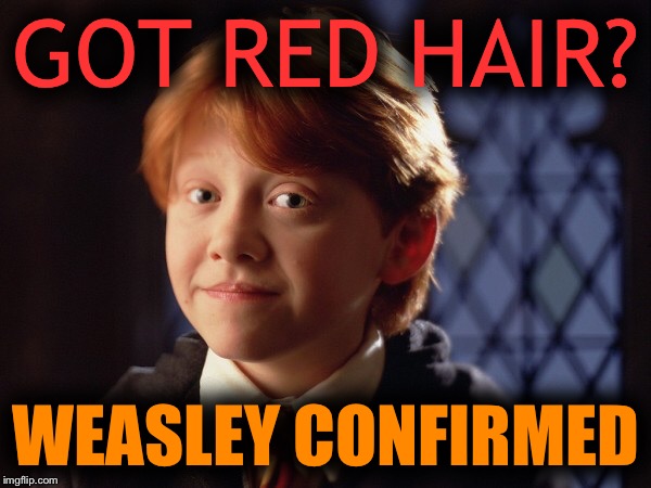 Ron Weasley | GOT RED HAIR? WEASLEY CONFIRMED | image tagged in ron weasley | made w/ Imgflip meme maker
