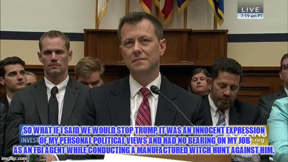  lying scumbag  | SO WHAT IF I SAID WE WOULD STOP TRUMP, IT WAS AN INNOCENT EXPRESSION OF MY PERSONAL POLITICAL VIEWS AND HAD NO BEARING ON MY JOB AS AN FBI AGENT WHILE CONDUCTING A MANUFACTURED WITCH HUNT AGAINST HIM. | image tagged in fbi investigation | made w/ Imgflip meme maker