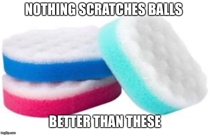 Ok... | NOTHING SCRATCHES BALLS; BETTER THAN THESE | image tagged in memes | made w/ Imgflip meme maker