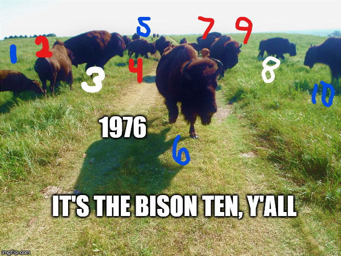 It's the Bison Ten, Y'all (Bicentennial) | 1976; IT'S THE BISON TEN, Y'ALL | image tagged in bison,bicentennial,1976 | made w/ Imgflip meme maker