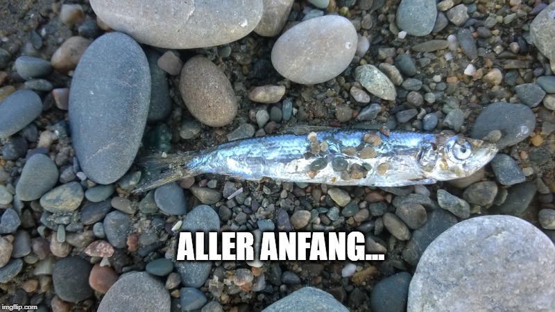 Aller Anfang | ALLER ANFANG... | image tagged in so it begins | made w/ Imgflip meme maker