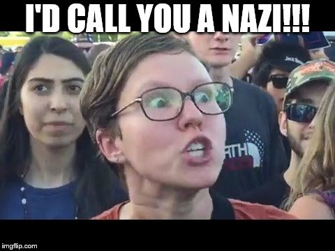 Angry sjw | I'D CALL YOU A NAZI!!! | image tagged in angry sjw | made w/ Imgflip meme maker