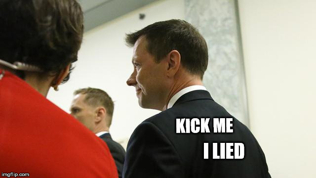 KICK ME; I LIED | image tagged in strzok | made w/ Imgflip meme maker