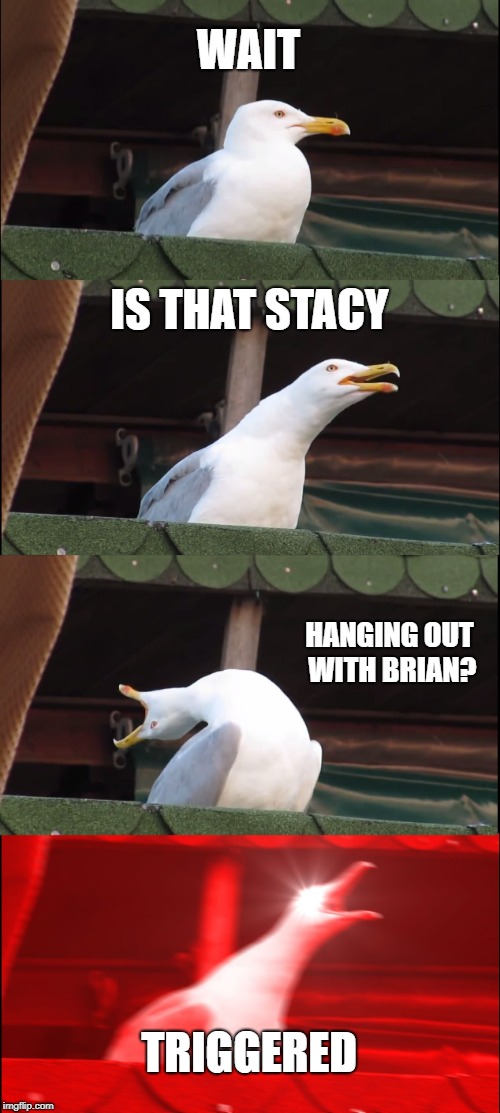 Inhaling Seagull Meme | WAIT; IS THAT STACY; HANGING OUT WITH BRIAN? TRIGGERED | image tagged in memes,inhaling seagull | made w/ Imgflip meme maker