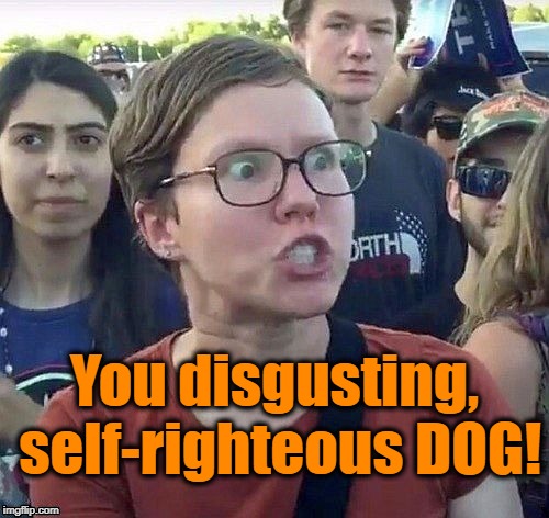 foggy | You disgusting, self-righteous DOG! | image tagged in triggered feminist | made w/ Imgflip meme maker