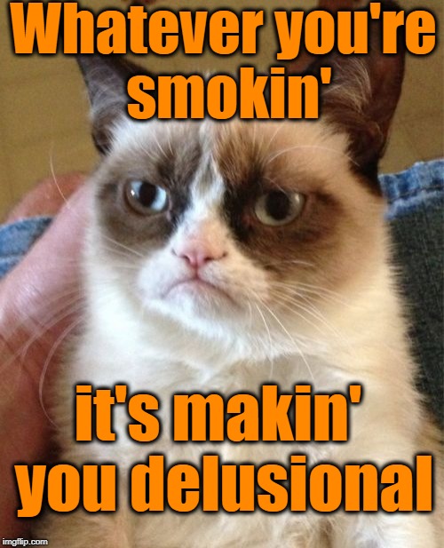 Grumpy Cat Meme | Whatever you're smokin' it's makin' you delusional | image tagged in memes,grumpy cat | made w/ Imgflip meme maker