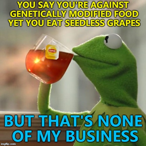 Genetically Modified grapes would be the size of a watermelon... :) | YOU SAY YOU'RE AGAINST GENETICALLY MODIFIED FOOD YET YOU EAT SEEDLESS GRAPES; BUT THAT'S NONE OF MY BUSINESS | image tagged in memes,but thats none of my business,kermit the frog,genetically modified,seedless grapes | made w/ Imgflip meme maker