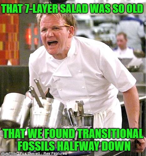Seven-Layer Salad | THAT 7-LAYER SALAD WAS SO OLD; THAT WE FOUND TRANSITIONAL FOSSILS HALFWAY DOWN | image tagged in memes,chef gordon ramsay,food,salad | made w/ Imgflip meme maker