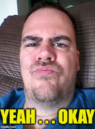 Scowl | YEAH . . . OKAY | image tagged in scowl | made w/ Imgflip meme maker