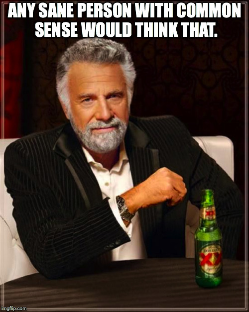 The Most Interesting Man In The World Meme | ANY SANE PERSON WITH COMMON SENSE WOULD THINK THAT. | image tagged in memes,the most interesting man in the world | made w/ Imgflip meme maker