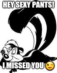Pepe Le Pew Sexy | HEY SEXY PANTS! I MISSED YOU 😉 | image tagged in pepe le pew sexy | made w/ Imgflip meme maker