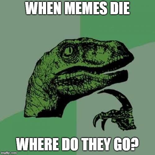 Philosoraptor | WHEN MEMES DIE; WHERE DO THEY GO? | image tagged in memes,philosoraptor | made w/ Imgflip meme maker