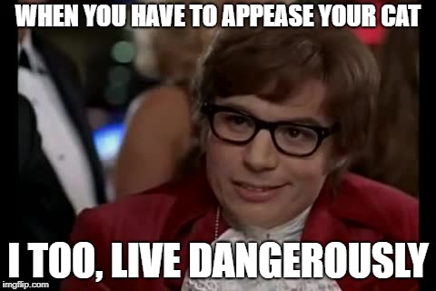 I Too Like To Live Dangerously Meme | WHEN YOU HAVE TO APPEASE YOUR CAT; I TOO, LIVE DANGEROUSLY | image tagged in memes,i too like to live dangerously | made w/ Imgflip meme maker