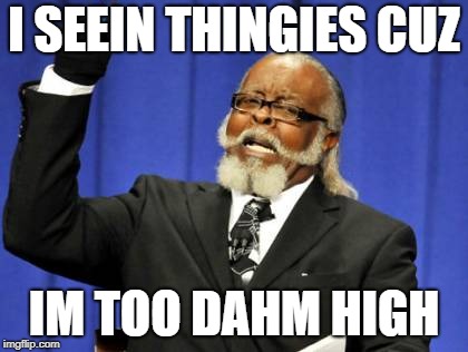 Too Damn High | I SEEIN THINGIES CUZ; IM TOO DAHM HIGH | image tagged in memes,too damn high | made w/ Imgflip meme maker