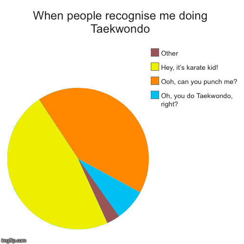 When people recognise me doing Taekwondo | Oh, you do Taekwondo, right?, Ooh, can you punch me?, Hey, it’s karate kid!, Other | image tagged in funny,pie charts | made w/ Imgflip chart maker