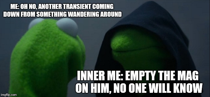 Evil Kermit | ME: OH NO, ANOTHER TRANSIENT COMING DOWN FROM SOMETHING WANDERING AROUND; INNER ME: EMPTY THE MAG ON HIM, NO ONE WILL KNOW | image tagged in memes,evil kermit | made w/ Imgflip meme maker