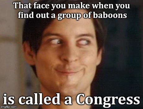 Spiderman Peter Parker | That face you make when you find out a group of baboons; is called a Congress | image tagged in memes,spiderman peter parker | made w/ Imgflip meme maker