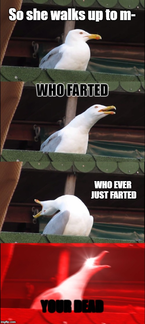 Inhaling Seagull | So she walks up to m-; WHO FARTED; WHO EVER JUST FARTED; YOUR DEAD | image tagged in memes,inhaling seagull | made w/ Imgflip meme maker