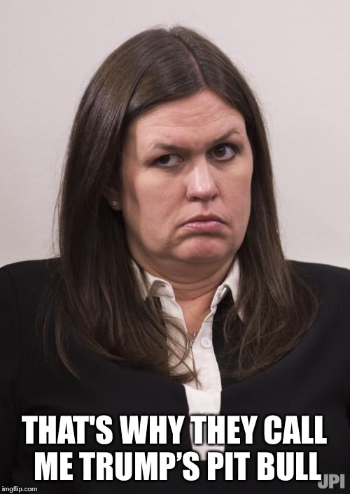 crazy sarah huckabee sanders | THAT'S WHY THEY CALL ME TRUMP’S PIT BULL | image tagged in crazy sarah huckabee sanders | made w/ Imgflip meme maker