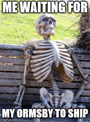 Waiting Skeleton Meme | ME WAITING FOR; MY ORMSBY TO SHIP | image tagged in memes,waiting skeleton,guitar | made w/ Imgflip meme maker