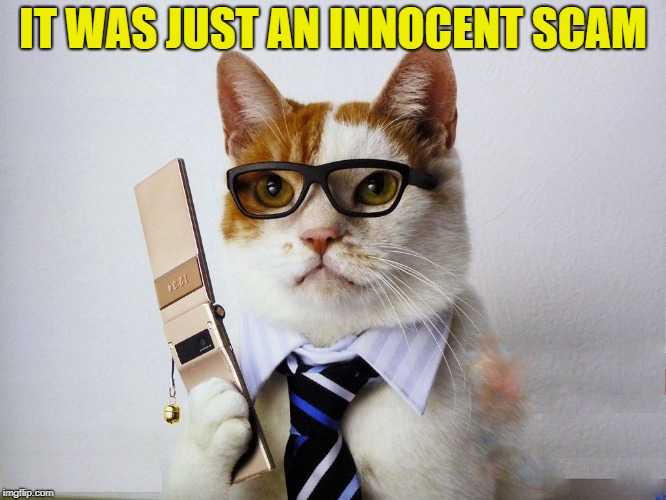 IT WAS JUST AN INNOCENT SCAM | made w/ Imgflip meme maker