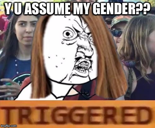 Y U ASSUME MY GENDER?? | image tagged in 123gal triggered,memes,no one will get this | made w/ Imgflip meme maker