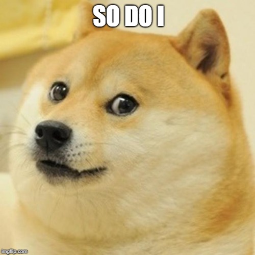 Doge Meme | SO DO I | image tagged in memes,doge | made w/ Imgflip meme maker