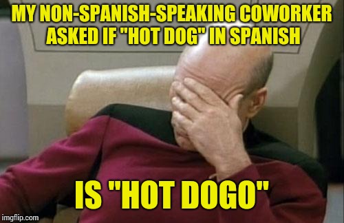 Captain Picard Facepalm Meme | MY NON-SPANISH-SPEAKING COWORKER ASKED IF "HOT DOG" IN SPANISH; IS "HOT DOGO" | image tagged in memes,captain picard facepalm | made w/ Imgflip meme maker