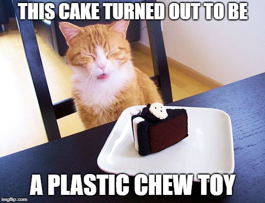 THIS CAKE TURNED OUT TO BE A PLASTIC CHEW TOY | made w/ Imgflip meme maker