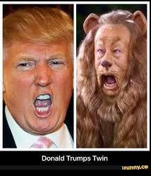 image tagged in trump cowardly lion | made w/ Imgflip meme maker