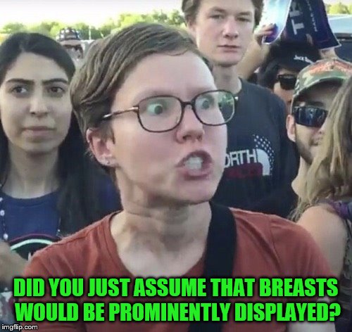 Triggered feminist | DID YOU JUST ASSUME THAT BREASTS WOULD BE PROMINENTLY DISPLAYED? | image tagged in triggered feminist | made w/ Imgflip meme maker