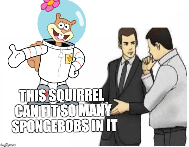 Car Salesman Slaps Hood Meme | THIS SQUIRREL CAN FIT SO MANY  SPONGEBOBS IN IT | image tagged in car salesman slaps hood of car | made w/ Imgflip meme maker