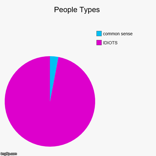 People Types | IDIOTS, common sense | image tagged in funny,pie charts | made w/ Imgflip chart maker