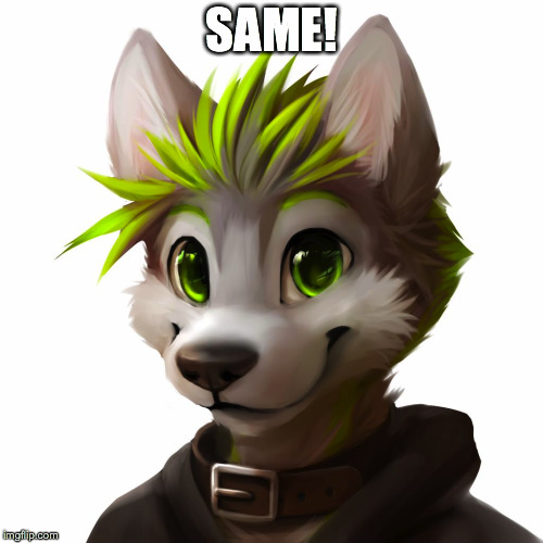 SAME! | made w/ Imgflip meme maker