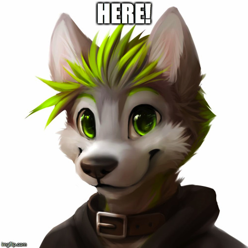 HERE! | made w/ Imgflip meme maker