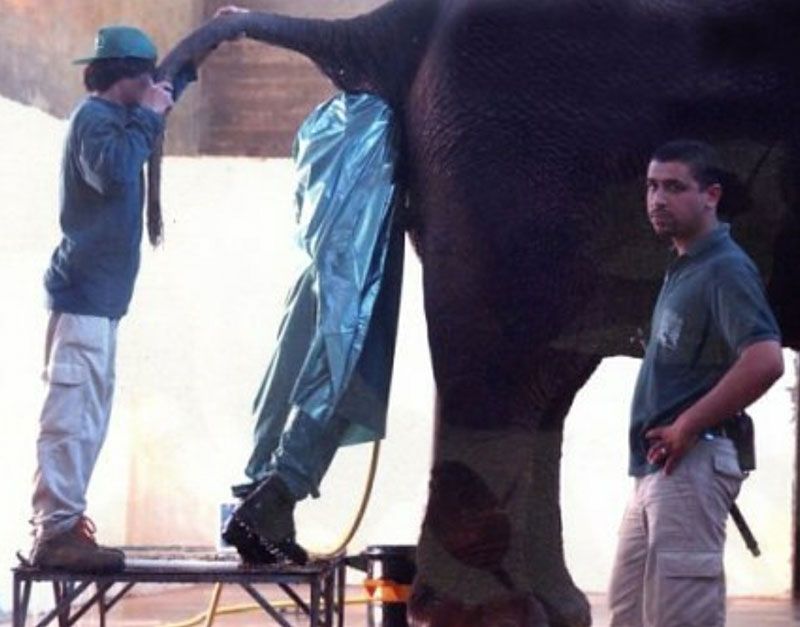 dont complain Blank Meme Template