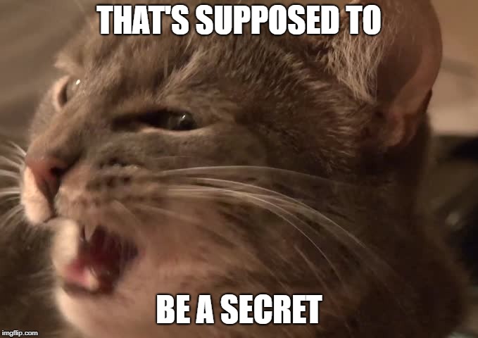 THAT'S SUPPOSED TO BE A SECRET | made w/ Imgflip meme maker
