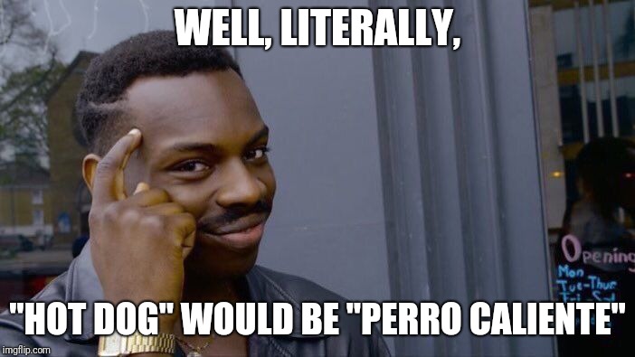 Roll Safe Think About It Meme | WELL, LITERALLY, "HOT DOG" WOULD BE "PERRO CALIENTE" | image tagged in memes,roll safe think about it | made w/ Imgflip meme maker