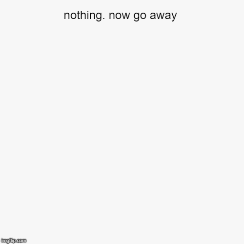 nothing. now go away | | image tagged in funny,pie charts | made w/ Imgflip chart maker