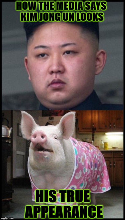 HOW THE MEDIA SAYS KIM JONG UN LOOKS; HIS TRUE APPEARANCE | image tagged in kim jong pig | made w/ Imgflip meme maker