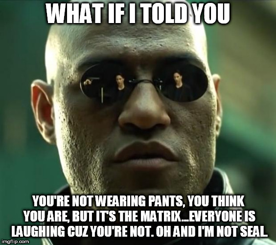 pants...just pants...and seal | WHAT IF I TOLD YOU; YOU'RE NOT WEARING PANTS, YOU THINK YOU ARE, BUT IT'S THE MATRIX...EVERYONE IS LAUGHING CUZ YOU'RE NOT. OH AND I'M NOT SEAL. | image tagged in morpheus,seal,matrix | made w/ Imgflip meme maker