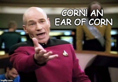 Picard Wtf Meme | CORN! AN EAR OF CORN | image tagged in memes,picard wtf | made w/ Imgflip meme maker