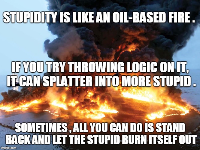 STUPIDITY IS LIKE AN OIL-BASED FIRE . IF YOU TRY THROWING LOGIC ON IT, IT CAN SPLATTER INTO MORE STUPID . SOMETIMES , ALL YOU CAN DO IS STAND BACK AND LET THE STUPID BURN ITSELF OUT | image tagged in stupid | made w/ Imgflip meme maker