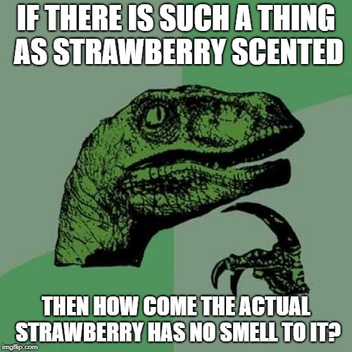 Philosoraptor | IF THERE IS SUCH A THING AS STRAWBERRY SCENTED; THEN HOW COME THE ACTUAL STRAWBERRY HAS NO SMELL TO IT? | image tagged in memes,philosoraptor | made w/ Imgflip meme maker