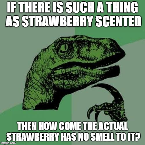 Philosoraptor Meme | IF THERE IS SUCH A THING AS STRAWBERRY SCENTED; THEN HOW COME THE ACTUAL STRAWBERRY HAS NO SMELL TO IT? | image tagged in memes,philosoraptor | made w/ Imgflip meme maker