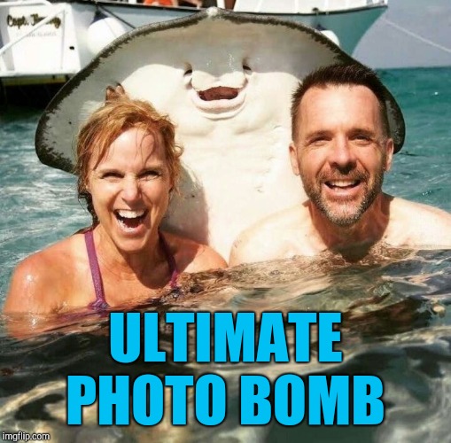 That smile though lol  | ULTIMATE PHOTO BOMB | image tagged in photobomb,jbmemegeek,memes | made w/ Imgflip meme maker