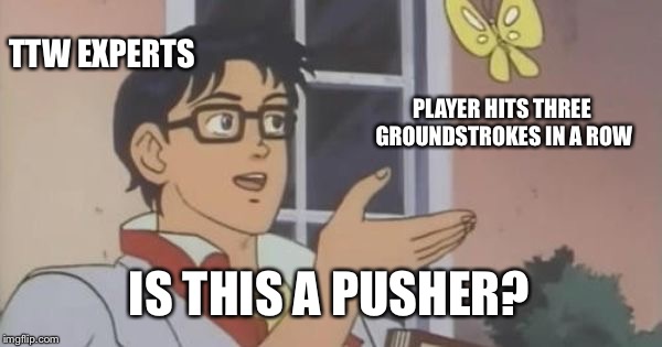 Is This a Pigeon | TTW EXPERTS; PLAYER HITS THREE GROUNDSTROKES IN A ROW; IS THIS A PUSHER? | image tagged in is this a pigeon | made w/ Imgflip meme maker