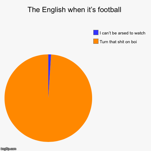 A chart | The English when it’s football | Turn that shit on boi , I can’t be arsed to watch | image tagged in funny,pie charts | made w/ Imgflip chart maker