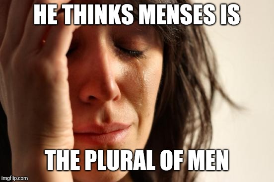 First World Problems Meme | HE THINKS MENSES IS THE PLURAL OF MEN | image tagged in memes,first world problems | made w/ Imgflip meme maker
