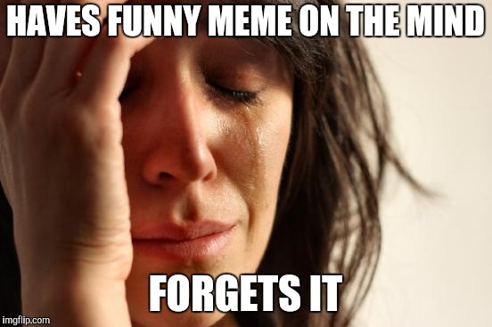 First World Problems | HAVES FUNNY MEME ON THE MIND; FORGETS IT | image tagged in memes,first world problems | made w/ Imgflip meme maker